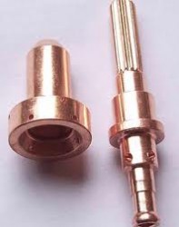 BÉC CẮT P31